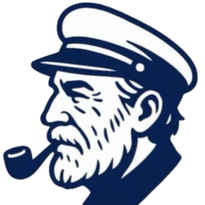 cropped logo vide.png